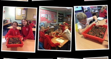 Yr 5 - History